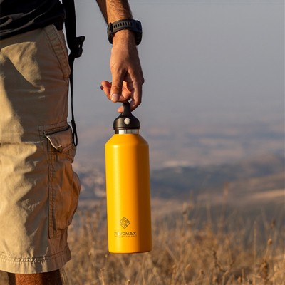 Global Growth of the Insulated Cup Industry